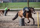 MountedGamesBayrischeMeisterschaft2015 311