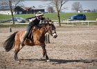 MountedGamesBayrischeMeisterschaft2015 314