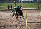 MountedGamesBayrischeMeisterschaft2015 318