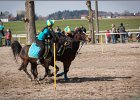 MountedGamesBayrischeMeisterschaft2015 319