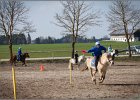 MountedGamesBayrischeMeisterschaft2015 324