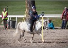 MountedGamesBayrischeMeisterschaft2015 325