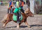 MountedGamesBayrischeMeisterschaft2015 328