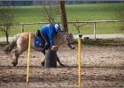 MountedGamesBayrischeMeisterschaft2015 334