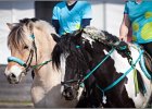 MountedGamesBayrischeMeisterschaft2015 339