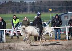 MountedGamesBayrischeMeisterschaft2015 341