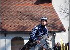 MountedGamesBayrischeMeisterschaft2015 348