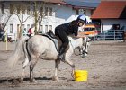 MountedGamesBayrischeMeisterschaft2015 355