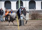 MountedGamesBayrischeMeisterschaft2015 356