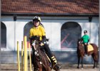 MountedGamesBayrischeMeisterschaft2015 357