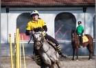 MountedGamesBayrischeMeisterschaft2015 358