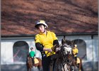 MountedGamesBayrischeMeisterschaft2015 359