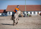 MountedGamesBayrischeMeisterschaft2015 363