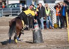 MountedGamesBayrischeMeisterschaft2015 364