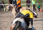 MountedGamesBayrischeMeisterschaft2015 365