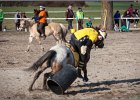 MountedGamesBayrischeMeisterschaft2015 366