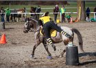 MountedGamesBayrischeMeisterschaft2015 368