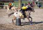 MountedGamesBayrischeMeisterschaft2015 369