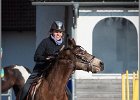 MountedGamesBayrischeMeisterschaft2015 374