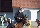 MountedGamesBayrischeMeisterschaft2015 375