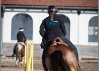 MountedGamesBayrischeMeisterschaft2015 378