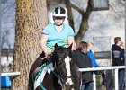 MountedGamesBayrischeMeisterschaft2015 381