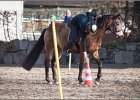 MountedGamesBayrischeMeisterschaft2015 384