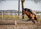 MountedGamesBayrischeMeisterschaft2015 386