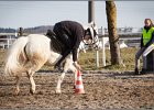 MountedGamesBayrischeMeisterschaft2015 388