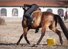 MountedGamesBayrischeMeisterschaft2015 393