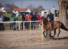 MountedGamesBayrischeMeisterschaft2015 394
