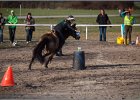 MountedGamesBayrischeMeisterschaft2015 398