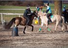 MountedGamesBayrischeMeisterschaft2015 399