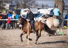 MountedGamesBayrischeMeisterschaft2015 400