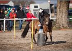 MountedGamesBayrischeMeisterschaft2015 401