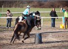 MountedGamesBayrischeMeisterschaft2015 402