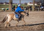 MountedGamesBayrischeMeisterschaft2015 403