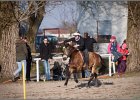 MountedGamesBayrischeMeisterschaft2015 404