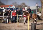 MountedGamesBayrischeMeisterschaft2015 405