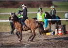 MountedGamesBayrischeMeisterschaft2015 406