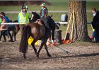 MountedGamesBayrischeMeisterschaft2015 407