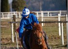 MountedGamesBayrischeMeisterschaft2015 408