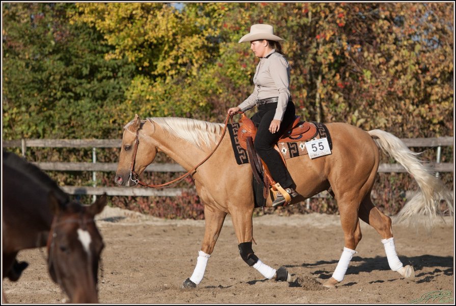 Sherwoodranch31
