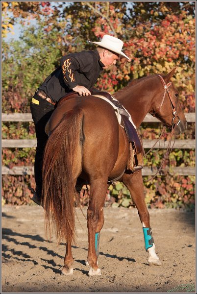 Sherwoodranch36