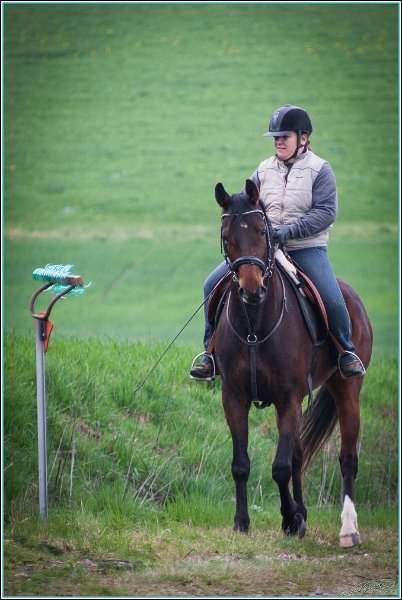 RedEagle2016 037