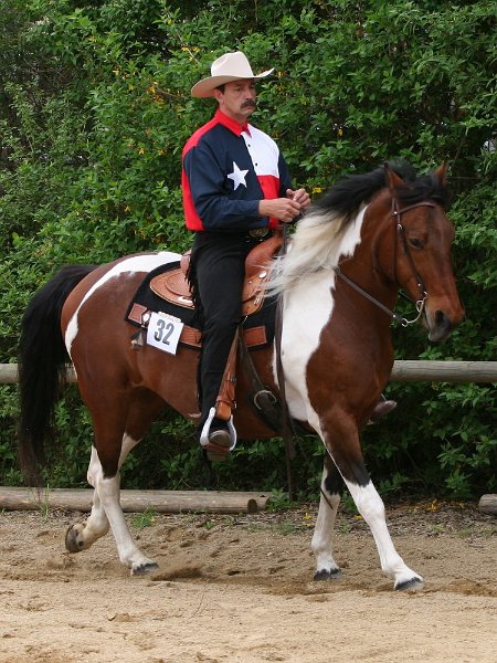 Galler 2010 04