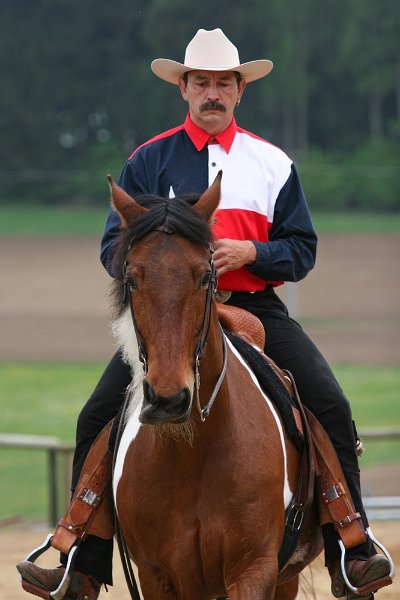 Galler 2010 06