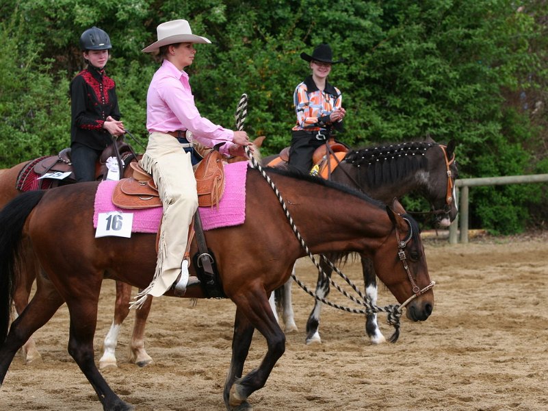 Galler 2010 10