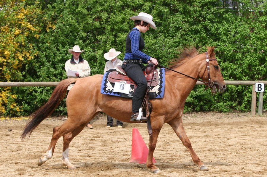 Galler 2010 24