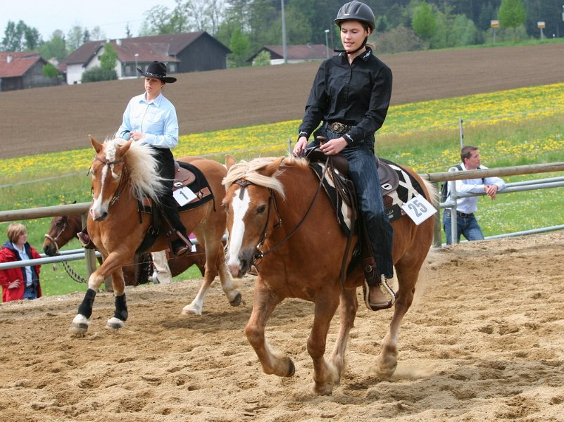 Galler 2010 25